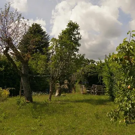Petite Maison Au Calme A Anost Buitenkant foto